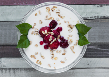 Yogurt Oasis: Probiotic Paradise
