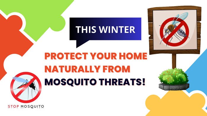 How to Protect Your Home from Mosquito Threats Naturally
